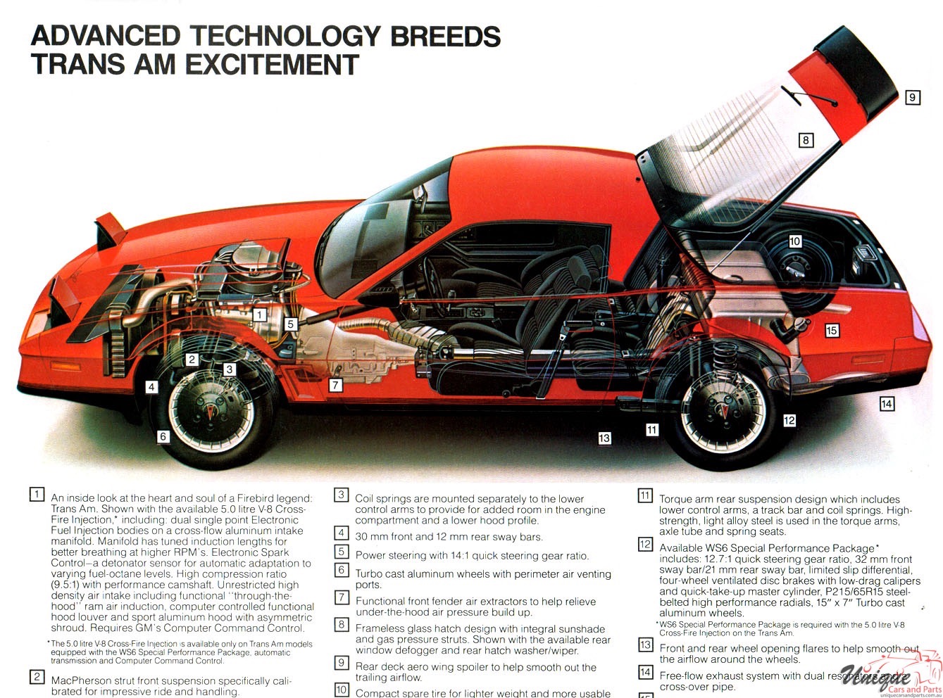 1983 Pontiac Firebird Brochure Page 4
